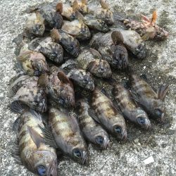 爆風デイゲーム