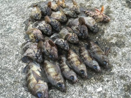 爆風デイゲーム