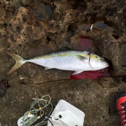 交通事故的な！