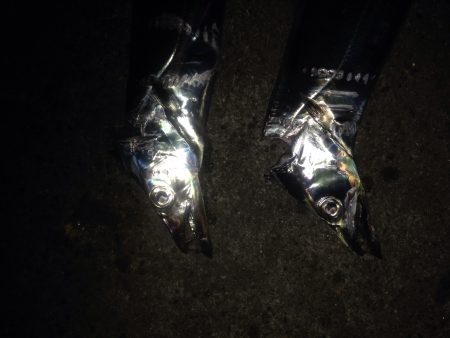 タチウオワインド