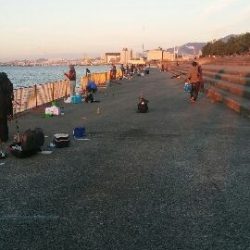 ベランダ超満員