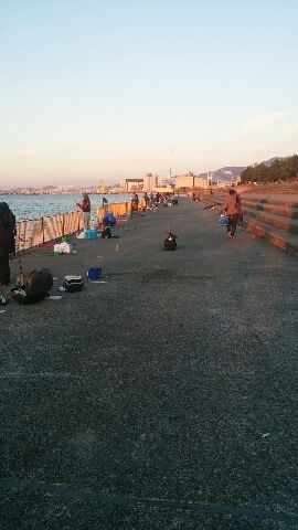 ベランダ超満員