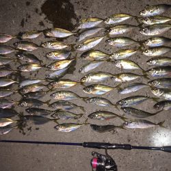 ワンヒット ワンヒット