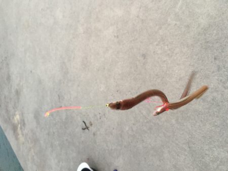 人工島上陸(^。^)