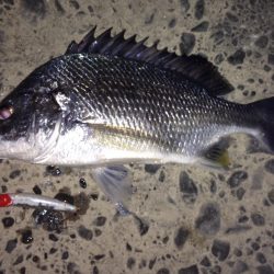 うれしい外道ゲット！