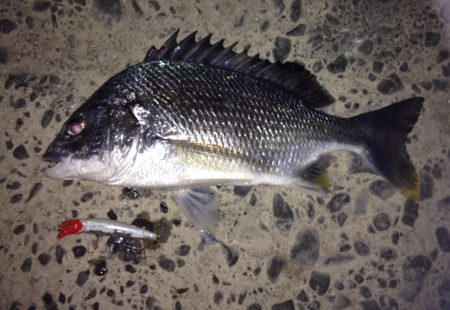 うれしい外道ゲット！