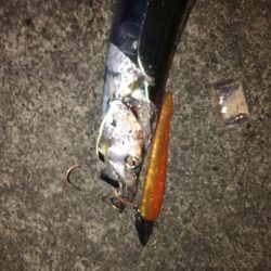 ワインド最高！