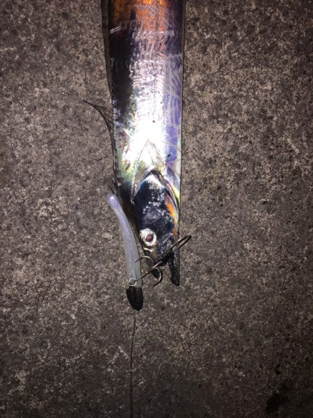 少しサイズアップ？