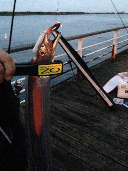 ワインドとウキ釣り