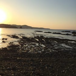 なんとか一杯。。。