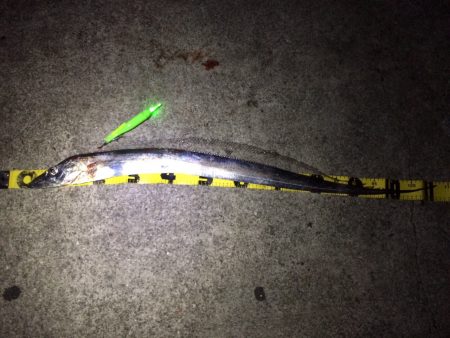 出ましたドラゴン！