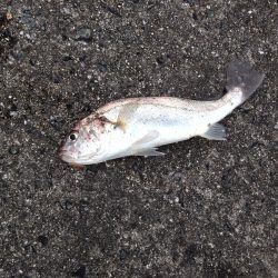 満喫とはいかず…