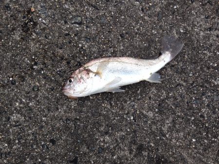 満喫とはいかず…