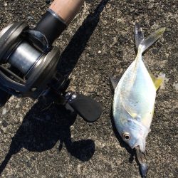 ベイトフェネスで