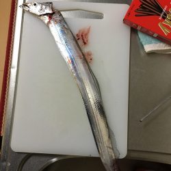 ようやく来た、長かったなぁ