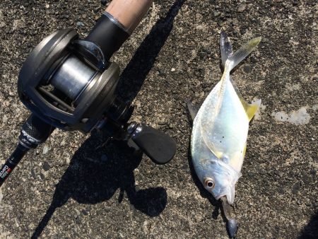 ベイトフェネスで