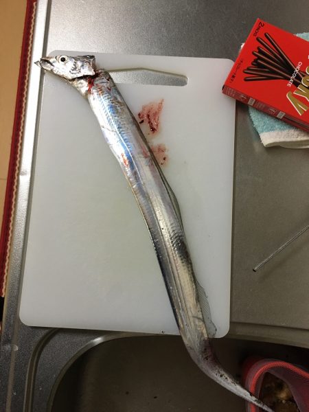 ようやく来た、長かったなぁ