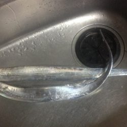 雨ニモマケズ。。。