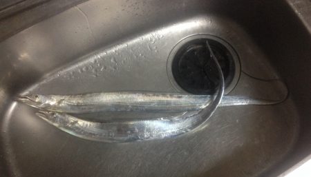 雨ニモマケズ。。。