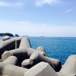 ショアプラッキング