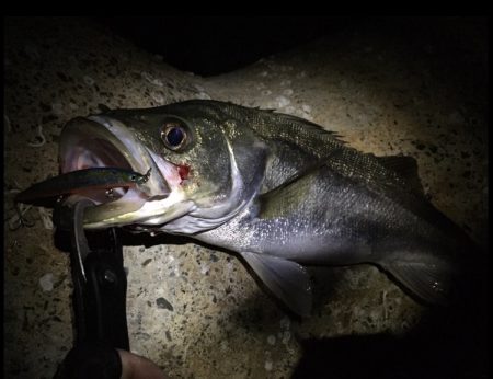 なんとか一本！