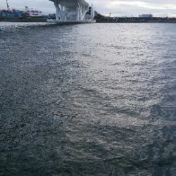 寒くなってきた