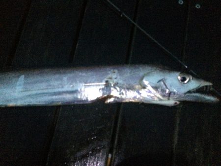 コスモにドラゴン現る