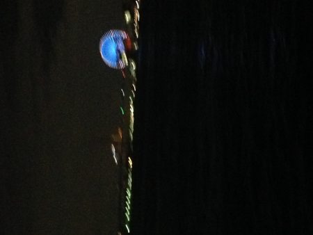 夕まずめタチウオ