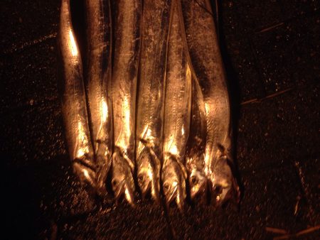 雨の中行ってきました