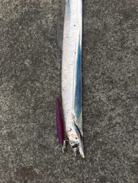 食い上げ注意！