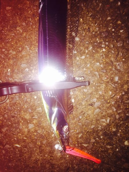 タッチー( ´ ▽ ` )