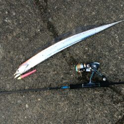 そろそろ終盤かな？