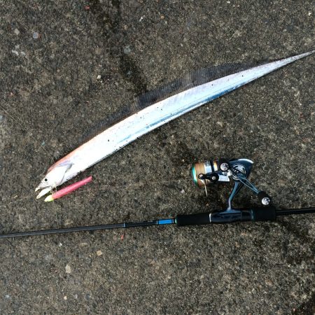 そろそろ終盤かな？