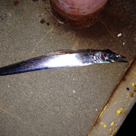 早くも終盤？日ムラありすぎ