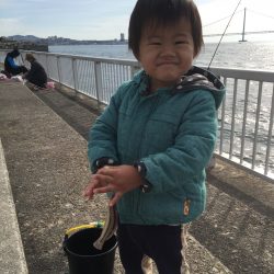 カレイいるかな？