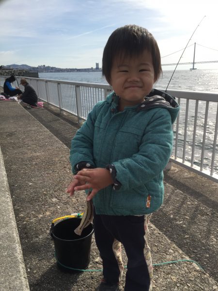 カレイいるかな？