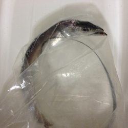 アタリルアーが・・・