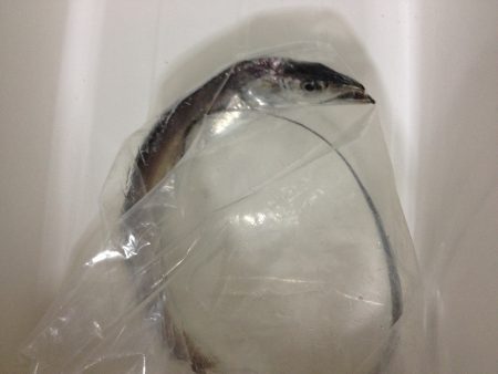 アタリルアーが・・・