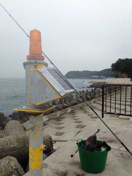 なんとかサワラが釣れました