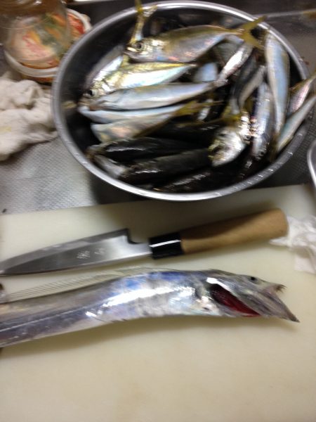 久しぶりにサビキも