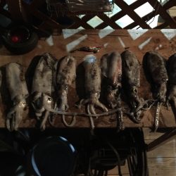 鉄板のジンクス