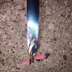 水潮で水がクリア、風強いの悪条件