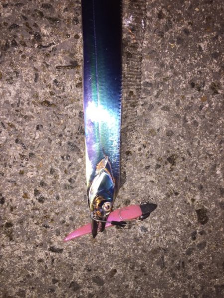 水潮で水がクリア、風強いの悪条件