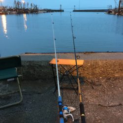 小雨の中(´･_･`)