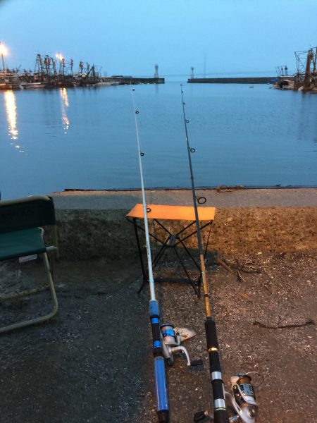 小雨の中(´･_･`)