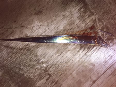 初めての神戸空港