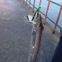 まさかの１本！