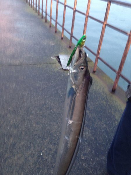 まさかの１本！