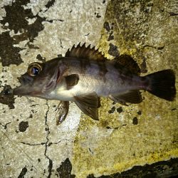 雨はチャンス。