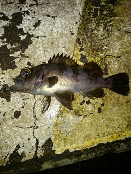 雨はチャンス。